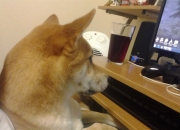 雷火电竞合作-当NBA节奏席卷天山，爱德华兹50+准三双演绎现代篮球掌控力