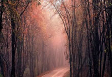 雷火电竞网站-各显神通！球员们在比赛中展现出自己的实力的简单介绍