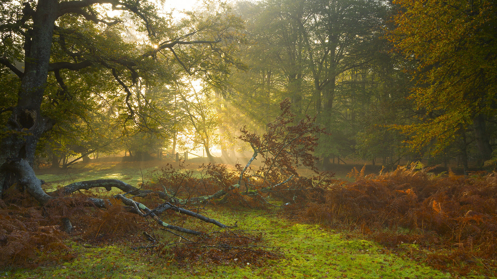 东西双响，山西速胜展团队韬略，保罗接管显球星神话