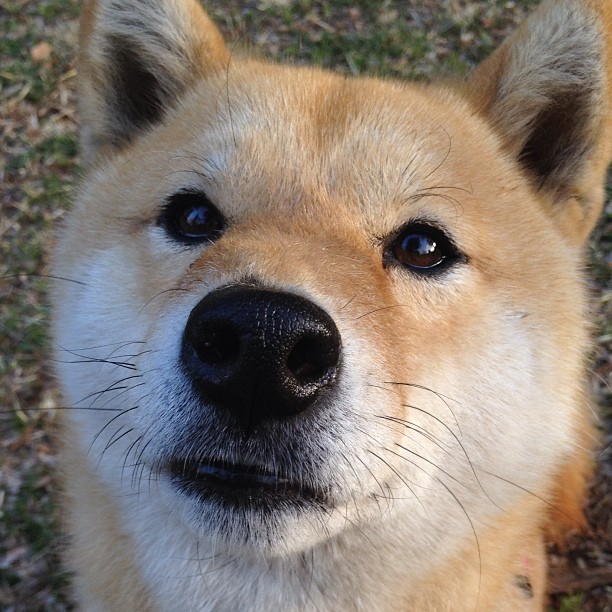 跨时空对决,库里欧冠首秀狂砍50分,坦言我代表山西队封锁热火