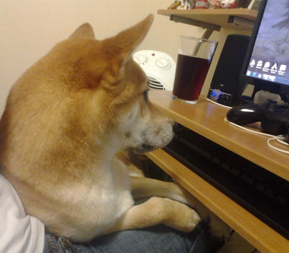 当NBA节奏席卷天山，爱德华兹50+准三双演绎现代篮球掌控力